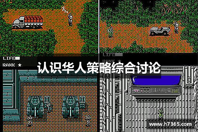 认识华人策略综合讨论